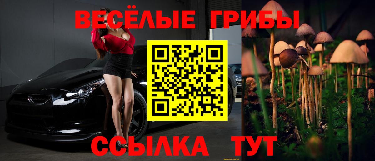 Галлюциногенные грибы Psilocybine cubensis Лесозаводск